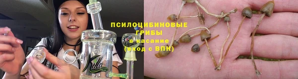 ешки Волоколамск