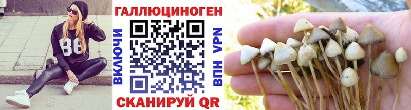 Псилоцибиновые грибы прущие грибы  Славск 